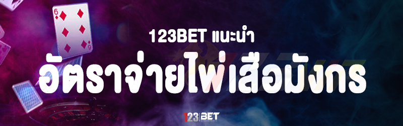 123bet แนะนำ อัตราจ่ายไพ่เสือมังกร