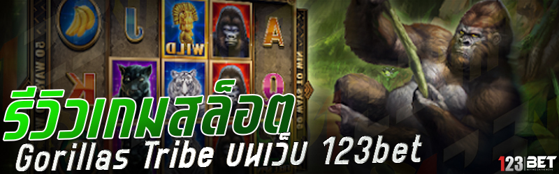 รีวิวเกมสล็อต Gorillas Tribe บนเว็บ 123bet