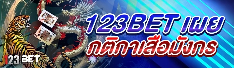 ทำความรู้จักกับ เกมเสือมังกร ผ่าน 123bet