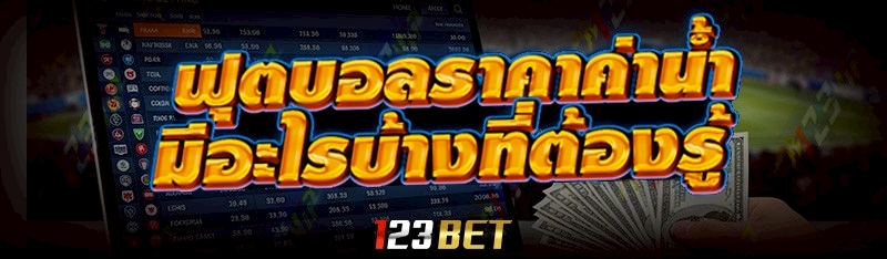 ฟุตบอลราคาค่าน้ำ